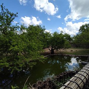Marsh exhibit - Temaiken