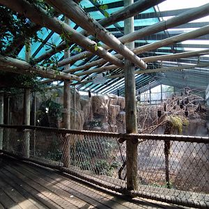 Flying fox exhibit - Temaiken
