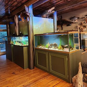 Five Rivers Delta Center (AL) - Aquatic exhibits