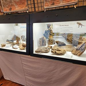 Five Rivers Delta Center (AL) - Geology displays