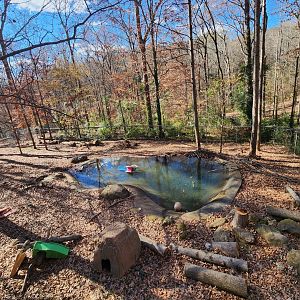 Bear Hollow Zoo - Otter/beaver enclosure