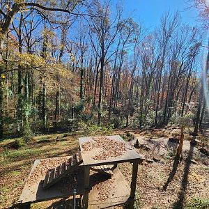 Bear Hollow Zoo - Bear enclosure