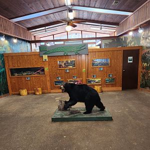 Bear Hollow Zoo - Inside reptile house