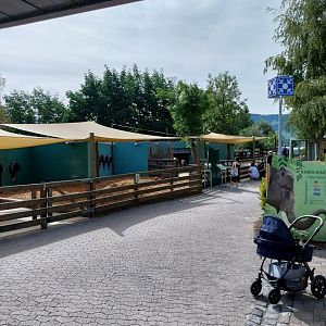 Entrance area - Pony enclosures