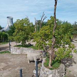 Himmapan - Main enclosure