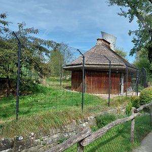 South African cheetah building