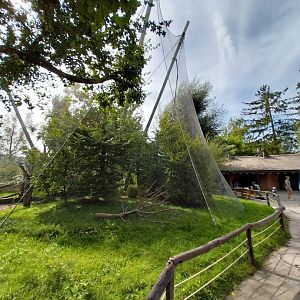 Bolivian squirrel monkey & common red-rumped agouti aviary