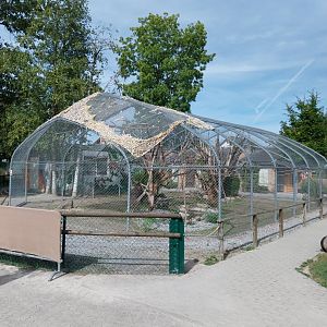 Military macaw aviary
