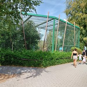 Hyacinth macaw aviary