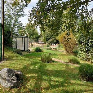American flamingo enclosure