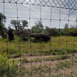 South Africa cheetah enclosure