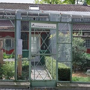 Volière Zug - Fasanerie