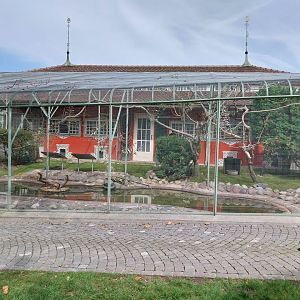 Volière Zug - Fasanerie - Wading bird aviary
