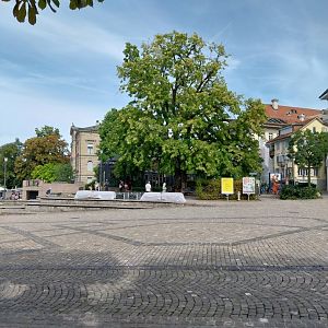 Volière Zug - Neue volière