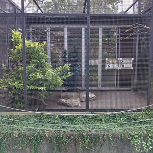 Volière Zug - Neue volière - Mixed species aviary