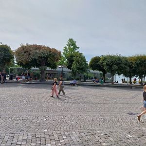 Volière Zug - Vorstadtquai & Fasanerie