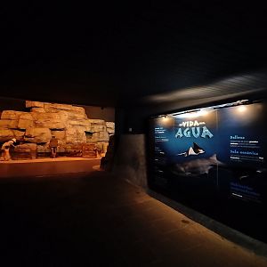 "La vida en el agua" (underwater life) - Temaiken