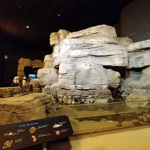 The argentinian coast - Temaiken