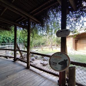 Red-necked wallaby exhibit - Temaiken