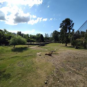 First exhibit of the Patagonia - Temaiken
