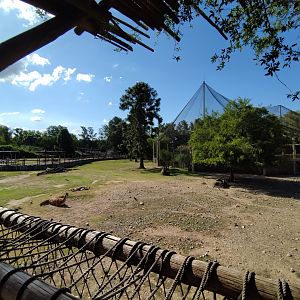 First exhibit of the Patagonia - Temaiken