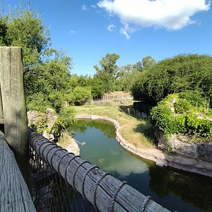Pudu exhibit, Patagonia - Temaiken