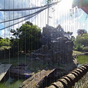 Andean condor aviary, Patagonia - Temaiken
