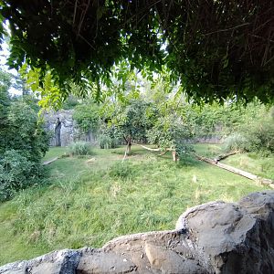 Cougar exhibit, Patagonia - Temaiken