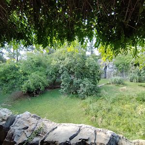 Cougar exhibit, Patagonia - Temaiken