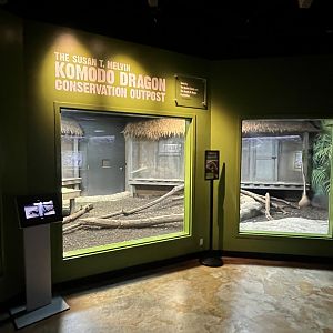 Komodo Dragon Indoor Habitat