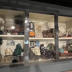 Curio Cabinet in Herp Lab