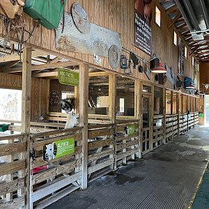Contact Yard Barn: Sheep, Goat, Alpaca, and Pig Stalls