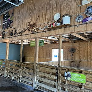 Contact Yard Barn: Donkey and Pony Stalls
