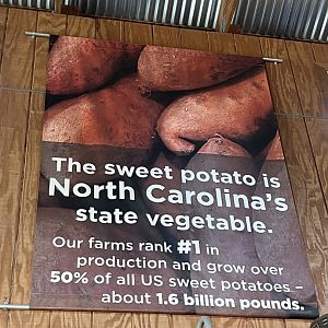 NC Sweet Potatoes Poster