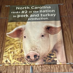 NC Pig Farming Poster