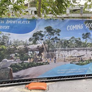 New Amphitheater Coming Soon