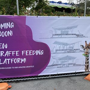 New Giraffe Feeding Station Coming Soon