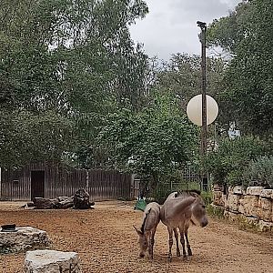 Mother Bar and Broko