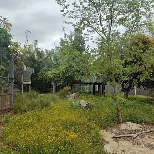 First Tiger Exhibit 1