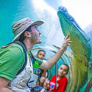 Watch This Before You Visit Zoo Miami