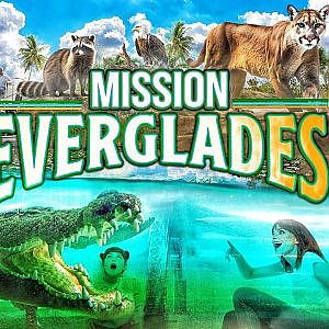 Mission Everglades | Zoo Tours