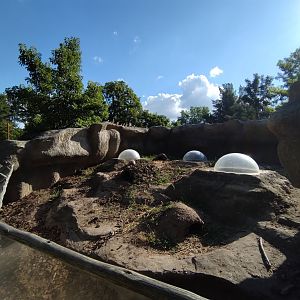 Vizcacha exhibit - Temaiken