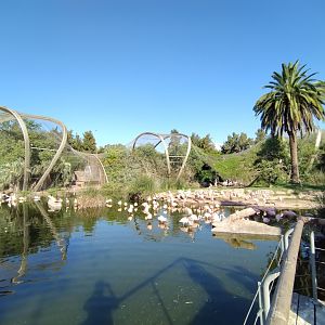 Lugar de las aves overview - Temaiken