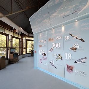 Interpretation center, Lugar de las aves - Temaiken