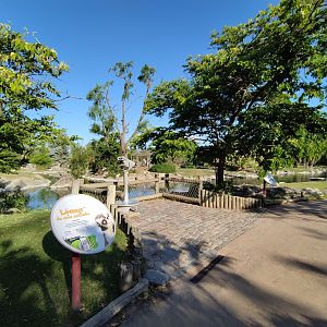 Lemur islands - Temaiken