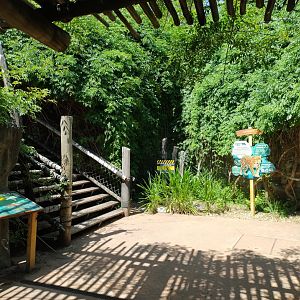 Jaguar educational setup - Temaiken