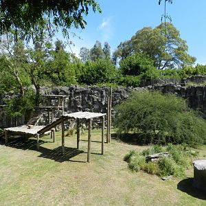 Jaguar exhibit - Temaiken