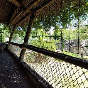 Jaguar exhibit - Temaiken