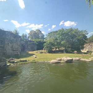 Tiger exhibit - Temaiken