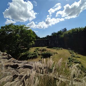 Tiger exhibit - Temaiken